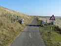 269 schapenrooster